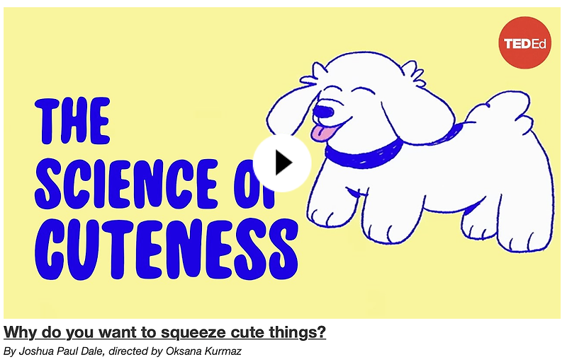 ted-ed-why-do-you-want-to-squeeze-cute-things