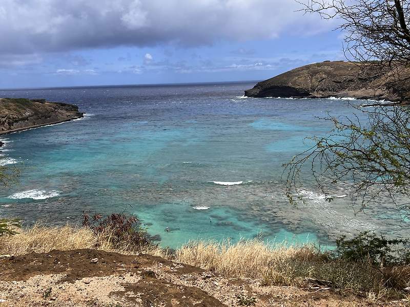 하와이 여행 9일차 오아후 뚜벅이 여행 - 아름다운 하나우마베이(Hanauma Bay) 스노클링