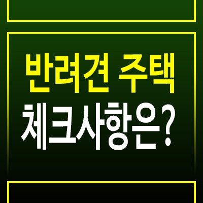 반려견과 거주 가능한 집, 어떤 조건을 확인해야 할까?