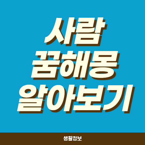 사람 꿈해몽 722가지 해석 :: 재테크 금융 허니팁