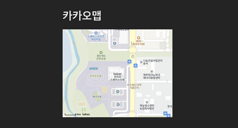Vite + React에서 Kakao Maps API 사용하기
