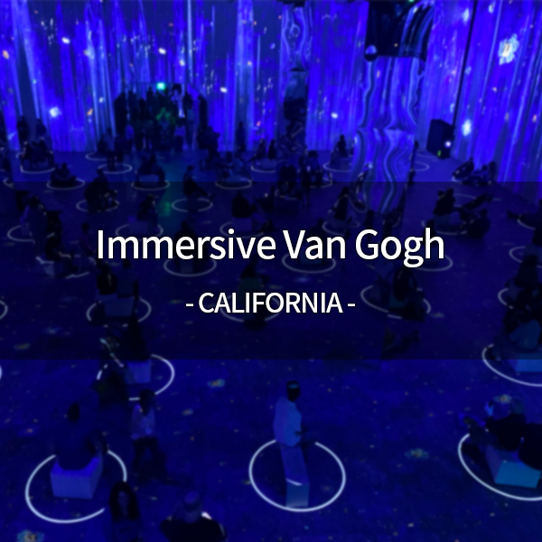요즘 미국에서 핫한 반고흐 미디어 아트 전시 Immersive Van Gogh Exhibit