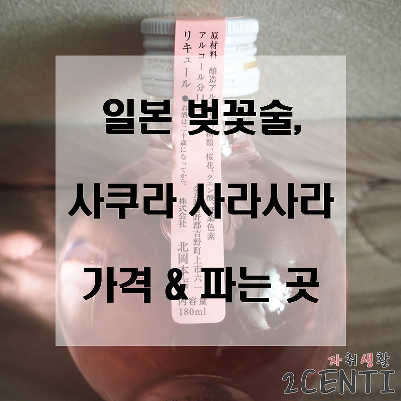 일본 벚꽃술, 사쿠라 사라사라 가격 & 파는 곳