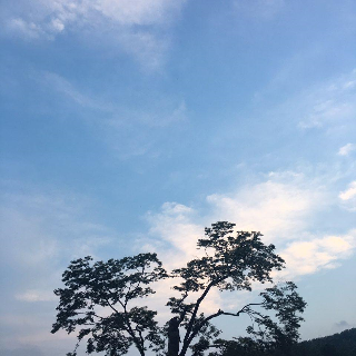 그네(Swing)