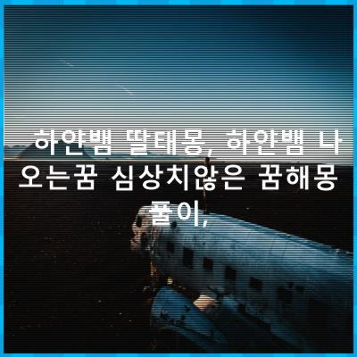 하얀뱀 딸태몽, 하얀뱀 나오는꿈 심상치않은 꿈해몽풀이,