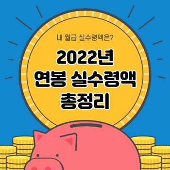 2022년 연봉 실수령액 총정리 (2,000만원~1억까지) - 나만 악에서 구하소서