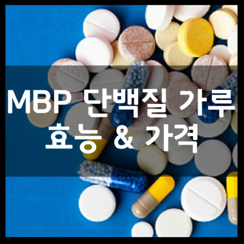 뼈엔엠비피MBP 단백질 가루 효능 부작용 속지 마세요 3