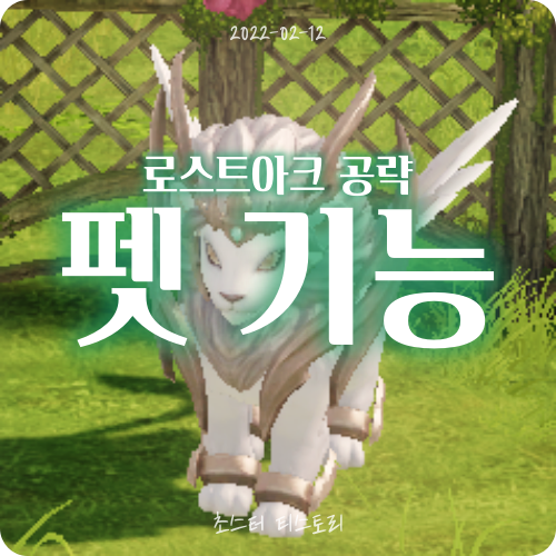 로스트아크에서 펫을 얻은 다음은? - 초스터 티스토리