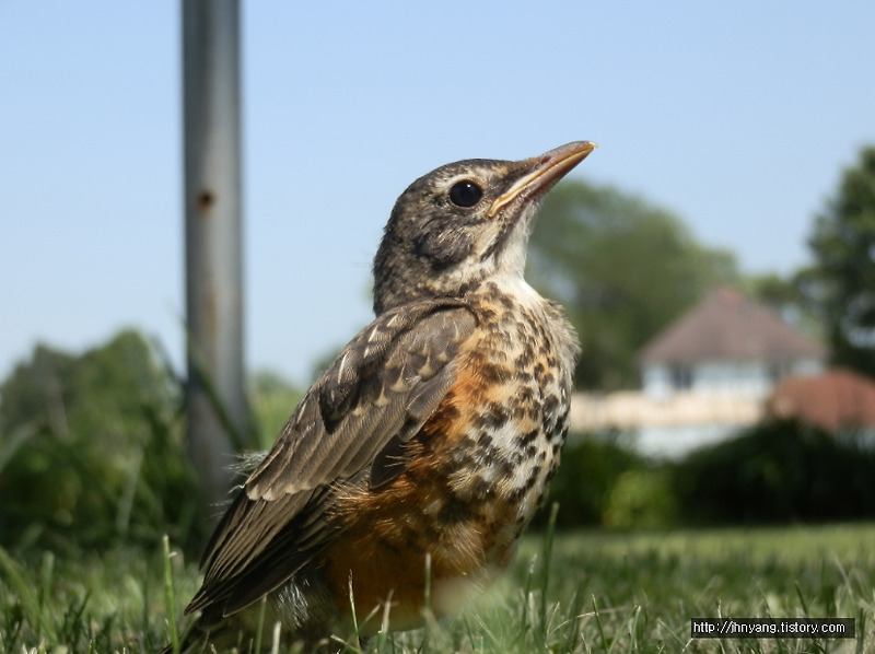 [운영체제]RR(Round Robin라운드로빈)순환할당스케줄링, time quantum 타임퀀텀