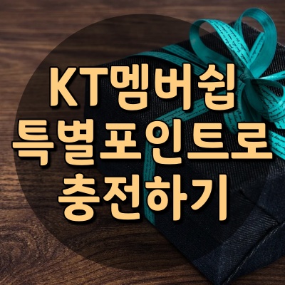 KT 멤버쉽 특별포인트 신청하는 방법! 특별포인트로 충전하기