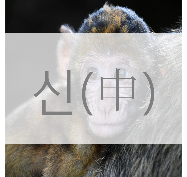 신(申), 신금이란?