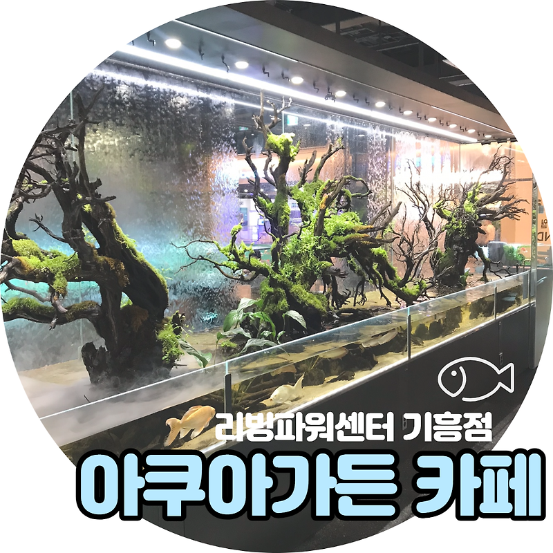 기흥 아쿠아가든 카페 : 수족관+카페 (나혼자산다 방송)