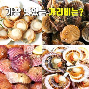 가리비 찜 맛있게 만드는법! 해감할필요가없다고? 가리비 손질법,보관방법 :: 백년밥상TV