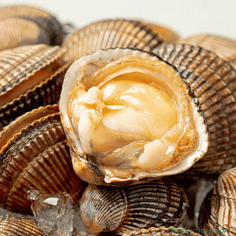 여름에 맛있는 노랑 새조개 효능 영양성분 먹는 방법