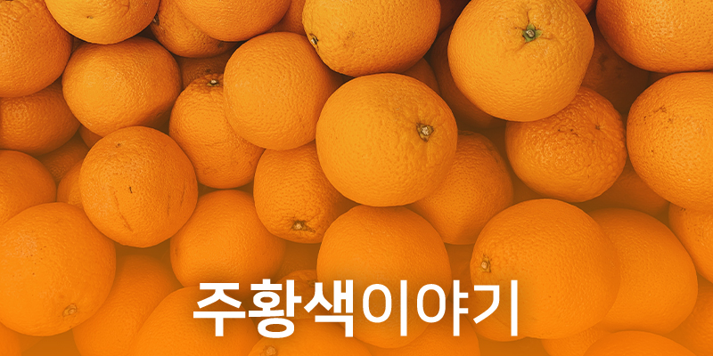 색이야기 - 주황색(Orange)