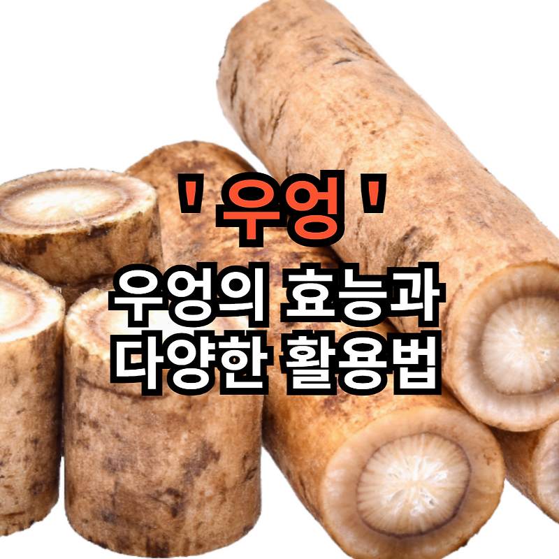 우엉의 효능과 다양한 활용법