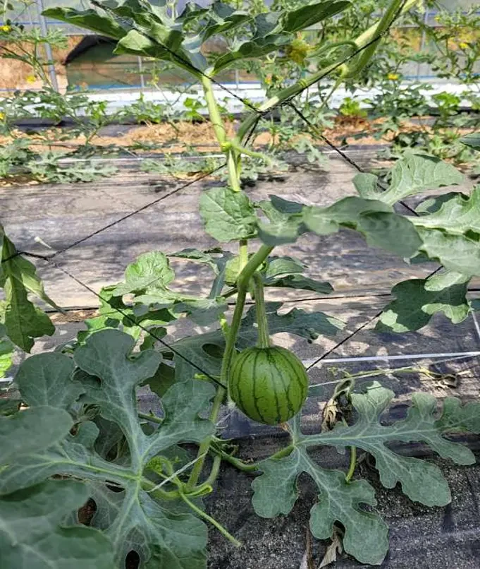 청주 가볼만한곳 베스트10 좋아요