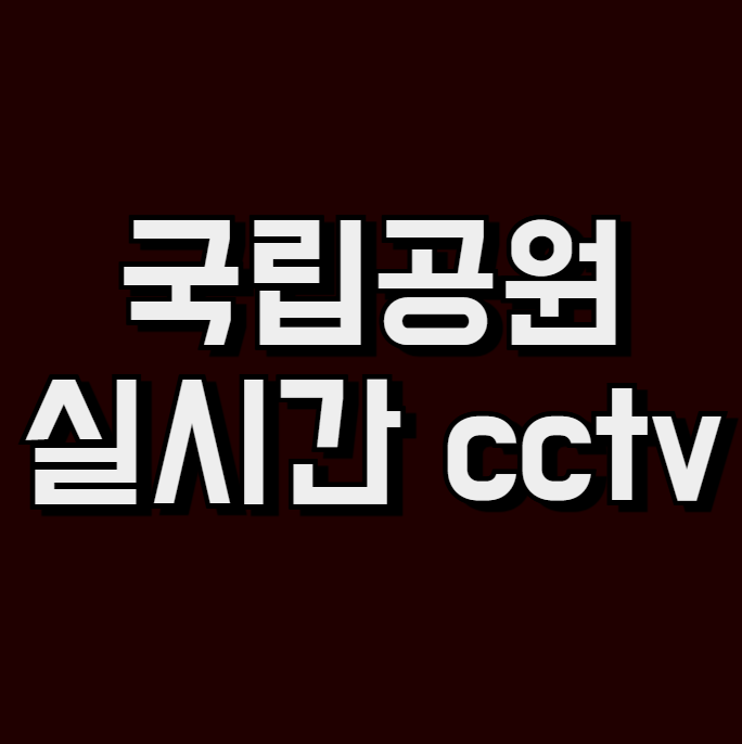 국립공원 실시간 cctv (pc, 모바일)