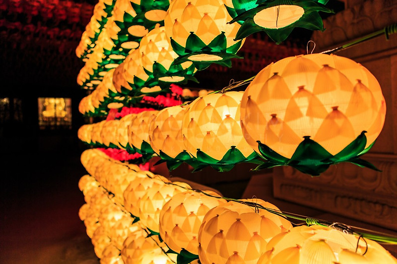 Lotus Lantern