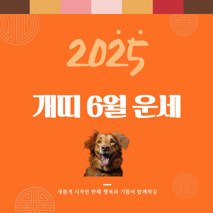 2025년 7월 『개띠』 운세