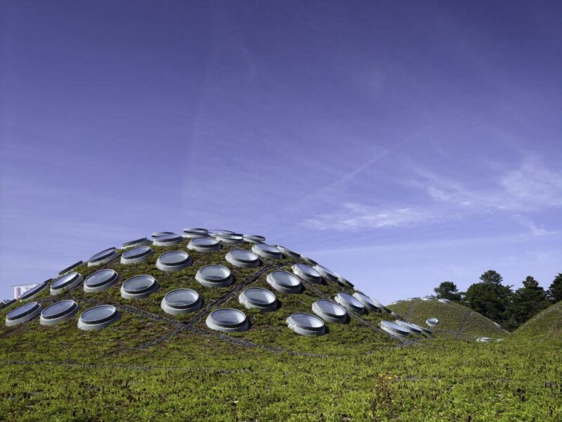 친환경 건축물 사례 : 캘리포니아 과학 아카데미, (California Academy of Sciences)