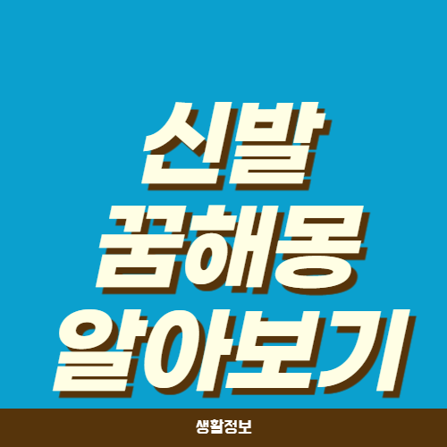 신발 꿈해몽 73가지 해석