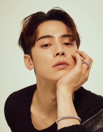 Top 27 차은 우 키 All Answers