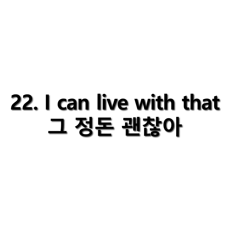 22. I can live with that (그 정돈 괜찮아 영어로)