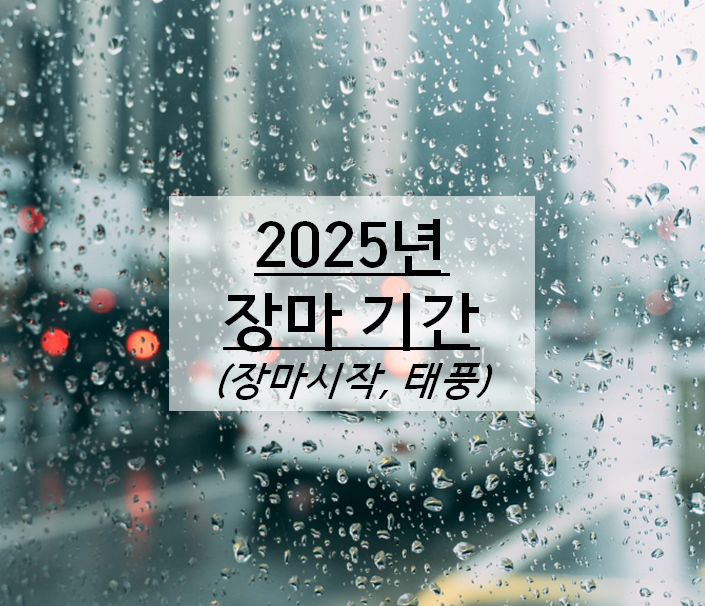 25년 장마기간, 장마 시작일, 태풍 우딥 경로 (2025년 장마 대비하기)