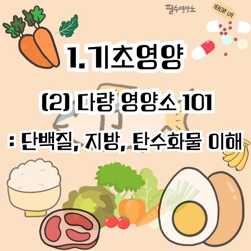 1.기초영양_(2)다량 영양소 101: 단백질, 지방, 탄수화물 이해