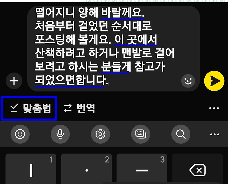 카카오톡 채팅창의 입력 글자에 맞춤법 적용하기