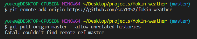 fatal: couldn't find remote ref master