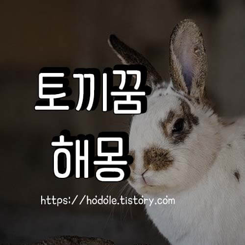 토끼를 본 꿈, 토끼를 잡는 꿈, 토끼를 키우는 꿈, 토끼꿈, 해몽!