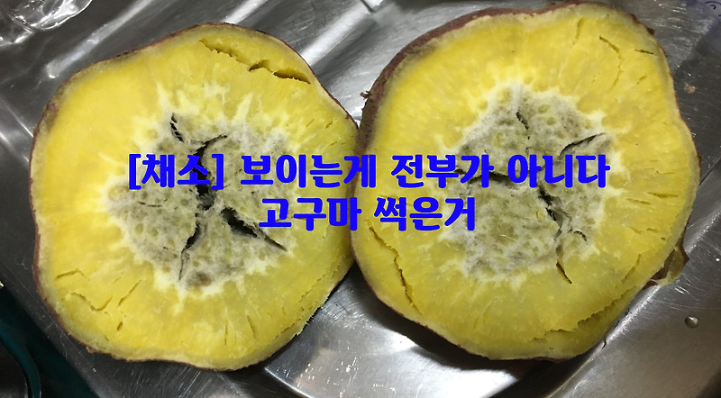 [채소] 보이는게 전부가 아니다…고구마 보관하는법(feat.고구마 썩은거)