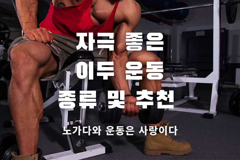 이두 운동 종류 및 초보자를 위한 루틴 추천