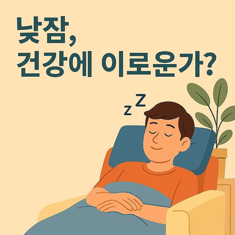 오후에 졸린 이유와 낮잠의 효과, 의학적으로 분석해봤어요