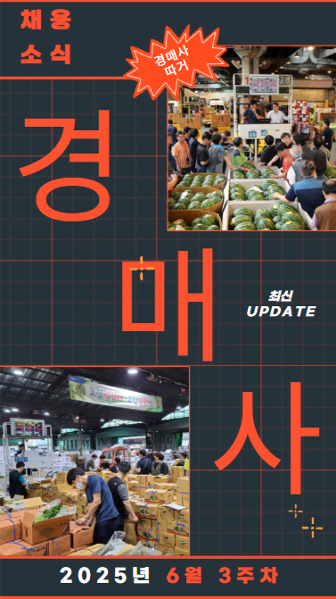 2025년 6월 3주차에는 어디서 경매사를 뽑찌?