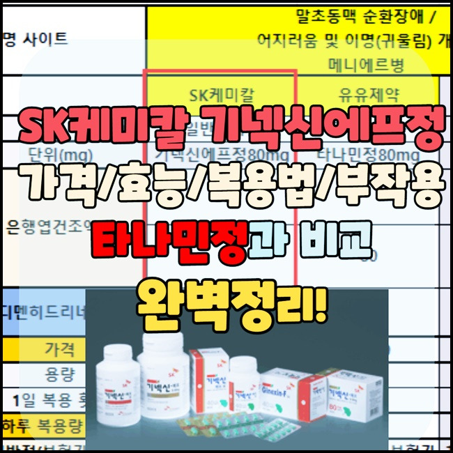 기넥신에프정80mg 핵심정리 (타나민정과 비교)