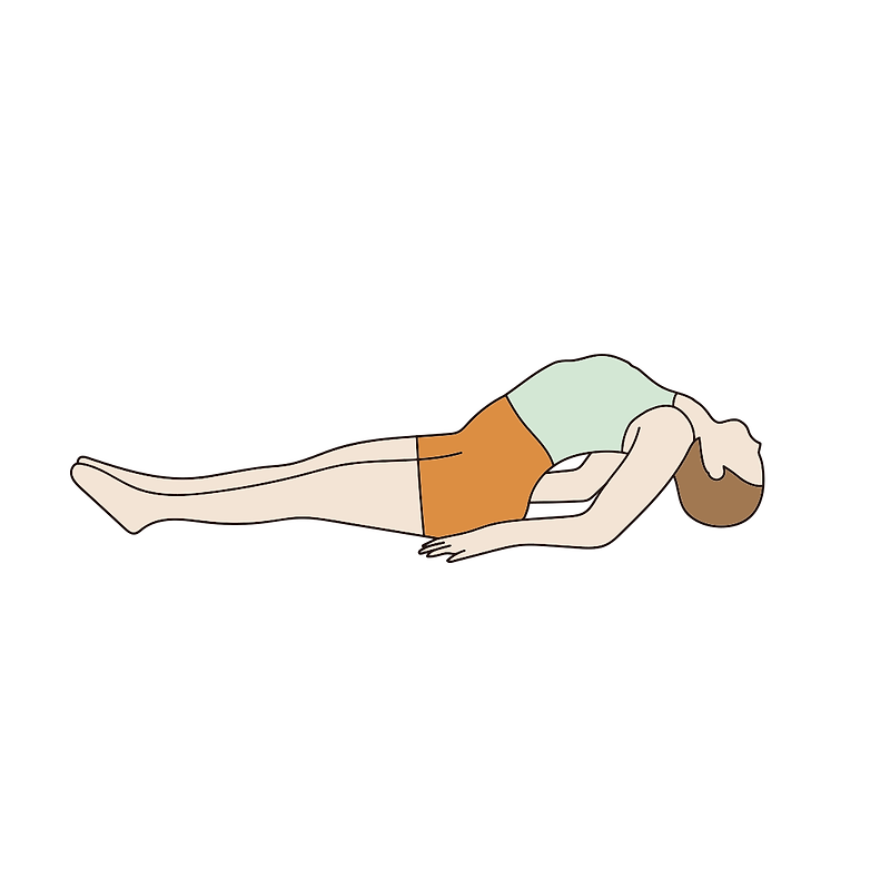 마츠야아사나 Matsyasana 요가 물고기 자세