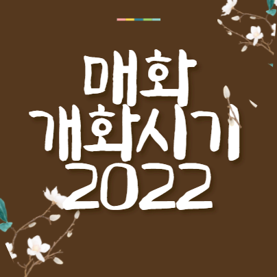 매화 개화시기 2022