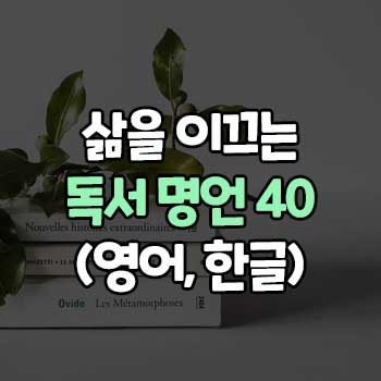 독서 명언 모음 40 (영어, 한글)