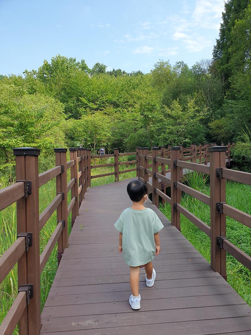 경기도 아이와 가볼만한 곳, 수원 근교 나들이로 좋은 오산 물향기 수목원