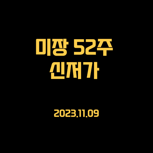 23.11.09 미국주식 신저가