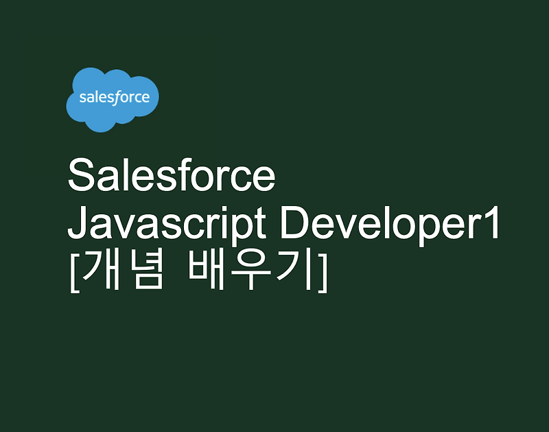 Salesforce Javascript Developer1 준비 과정 [개념 배우기]