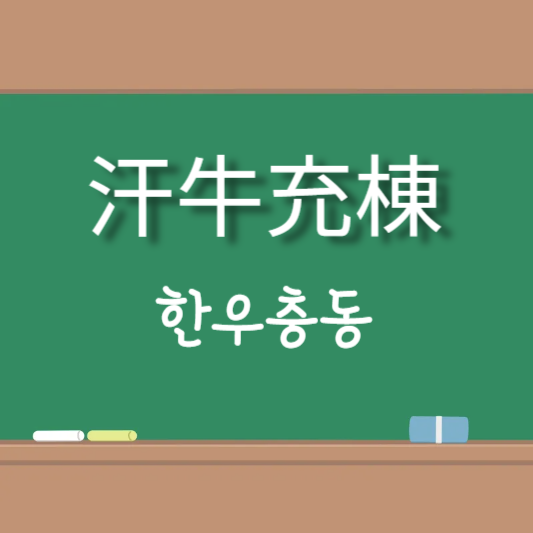 한우충동 [汗牛充棟]의 뜻풀이와 일상생활 예문 20가지