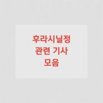 후라시닐정 관련 기사 요약