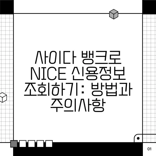 사이다 뱅크로 NICE 신용정보 조회하기: 방법과 주의사항