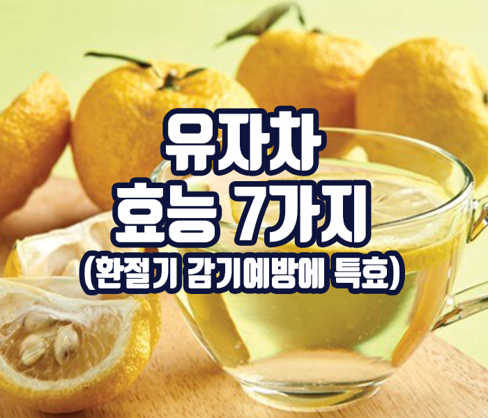 유자차 효능 7가지 환절기 감기예방에 특효