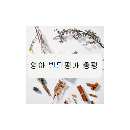 영아 발달평가 총평(보육교사일지)**