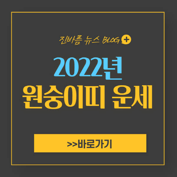 2022년 원숭이띠 운세 92년생 80년생 68년생 56년생 44년생 - 진바름뉴스